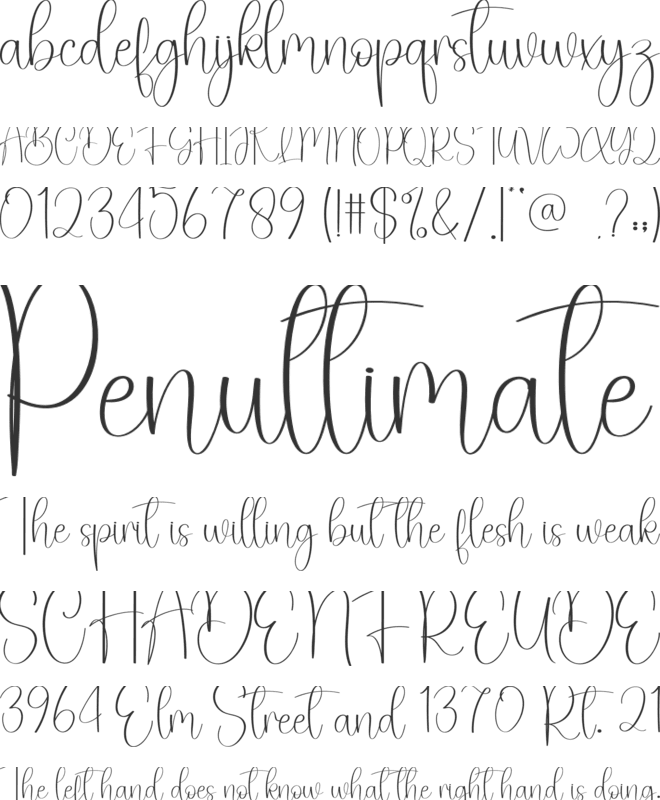 Laundry font preview