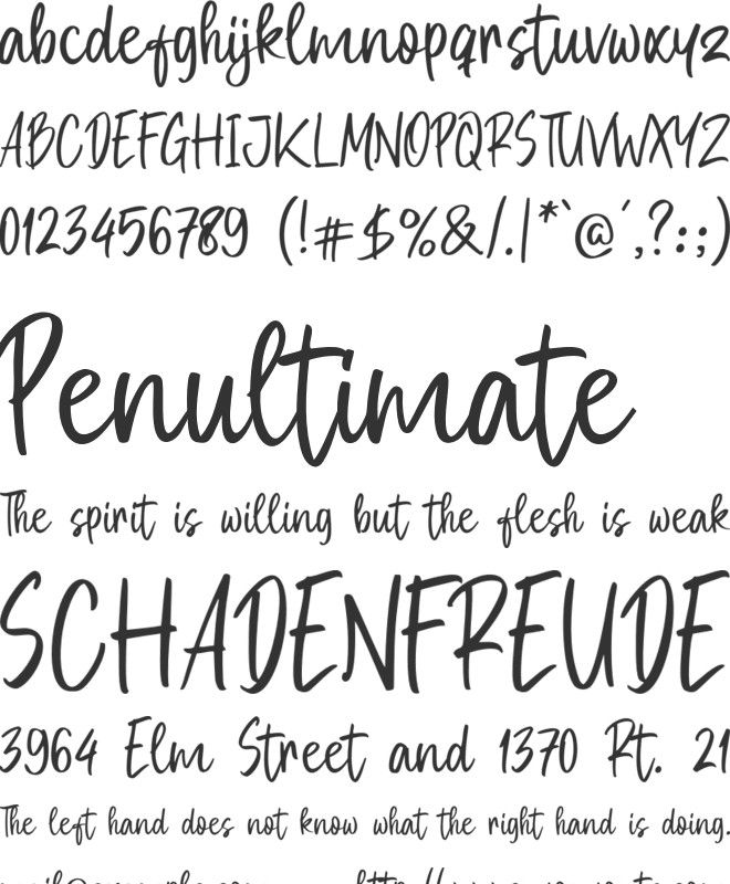 Mayorice font preview