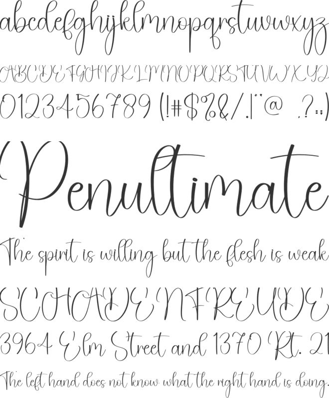 Volyball font preview