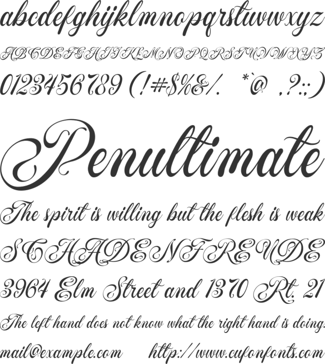 Sheilaria font preview