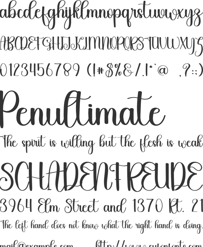Sayidina font preview