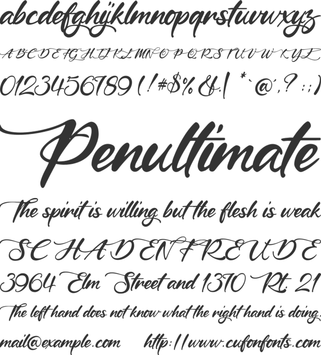 Shine in Valentine font preview