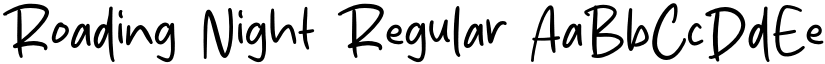 Roading Night Regular font