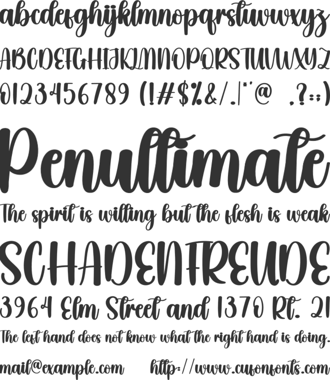 Beauty Beach font preview