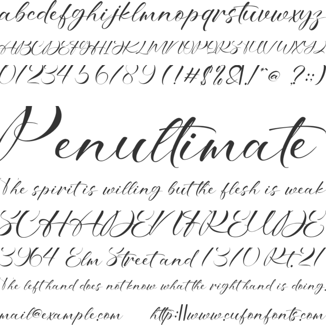 Bitteva Script font preview
