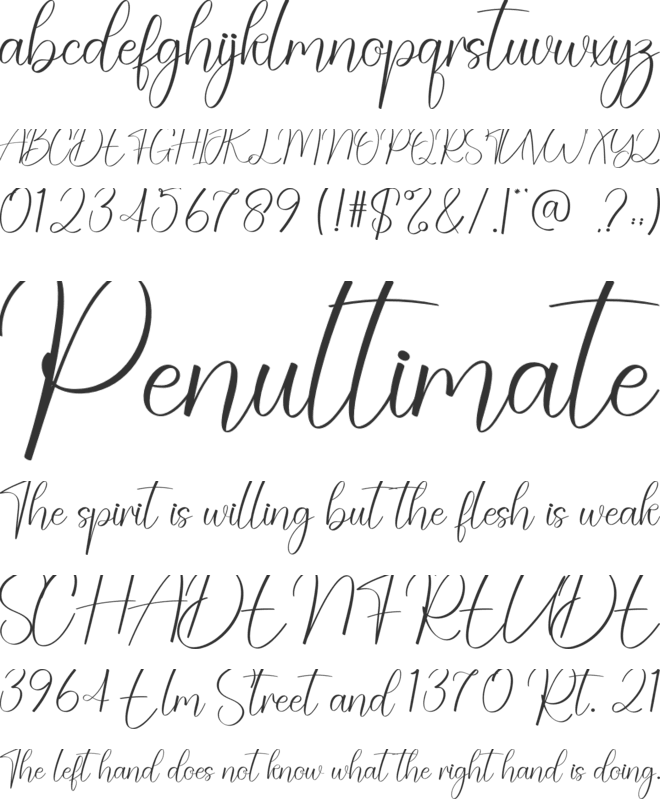 Trending font preview