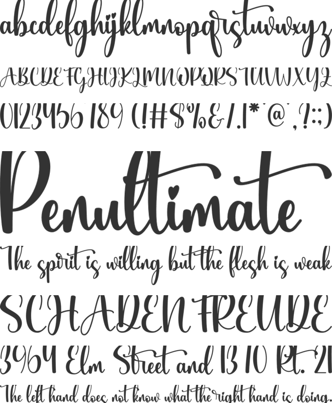 Leitterina font preview