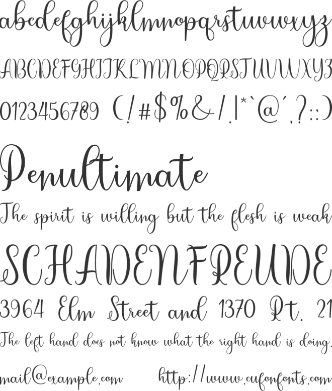 medilla font preview