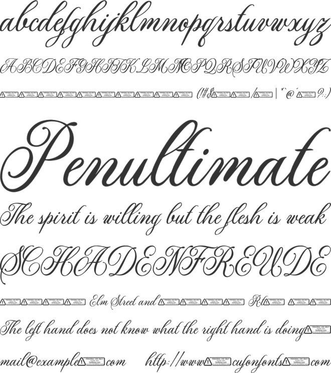 Alexina font preview