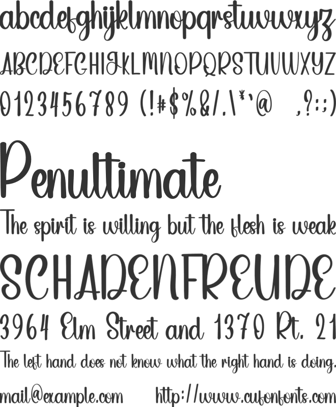 Mountain Winter font preview