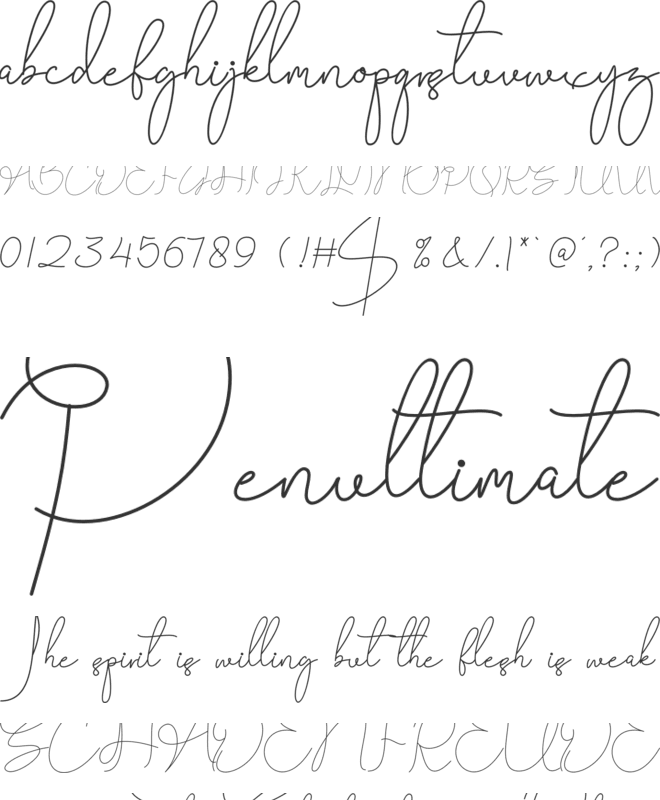 Birlina Signature font preview