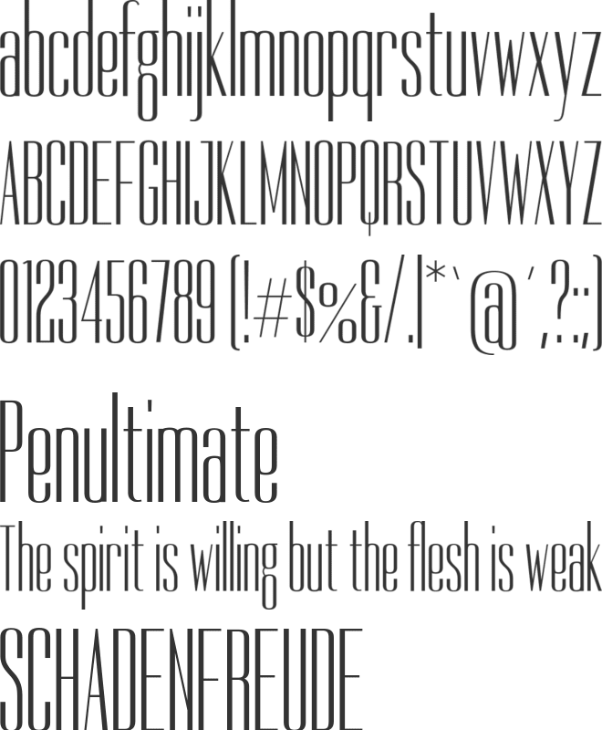 Dorsa font preview