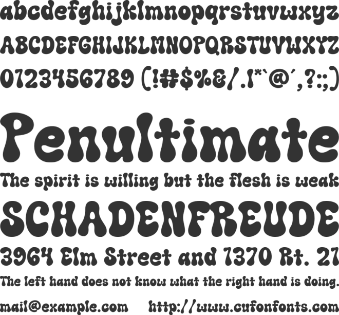 Retro Wild font preview