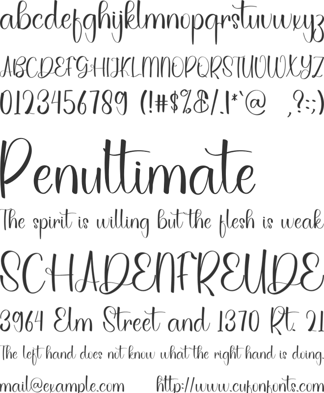 Simple February font preview