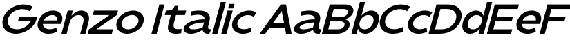 Genzo Italic font