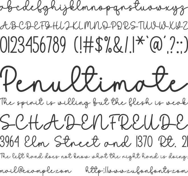 Willow Catkin font preview