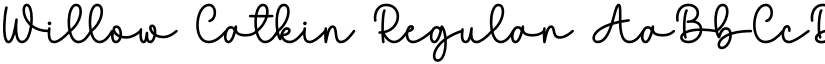 Willow Catkin Regular font