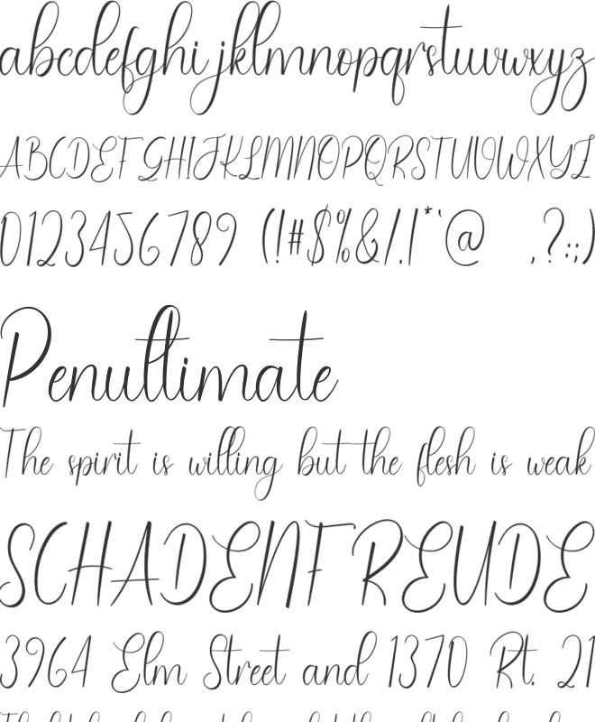 Wedding Summer font preview