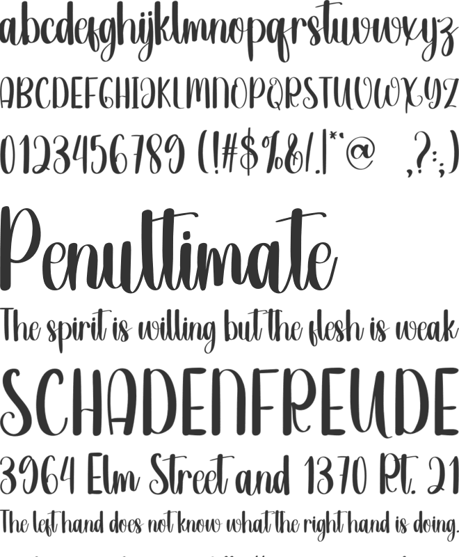 Home Secret font preview