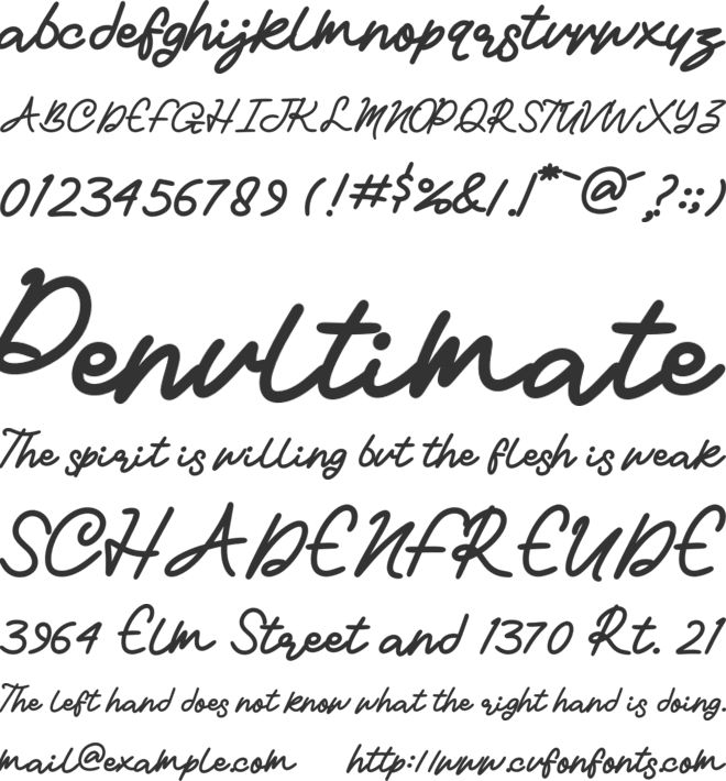 Leviene Handwritten font preview