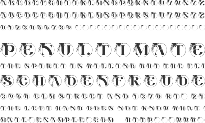 Aurora Bloom Monogram font preview