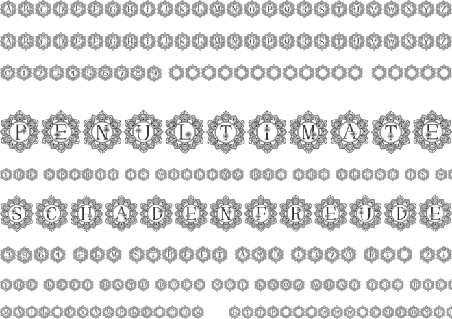 Elegant Mandala Monogram Font font preview