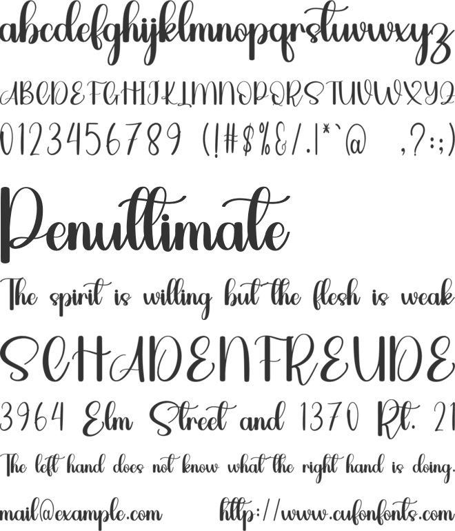 Singleboy font preview
