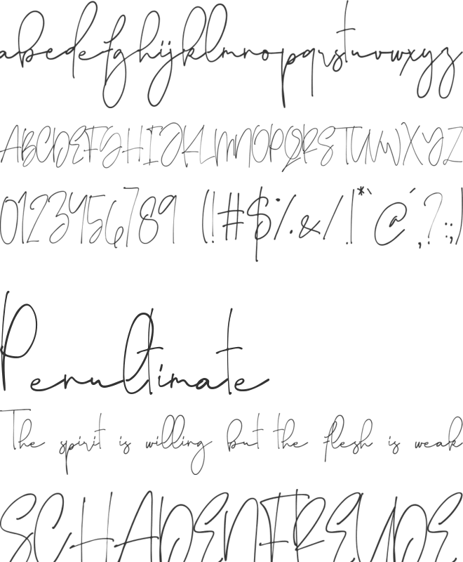 Shadow Blush font preview