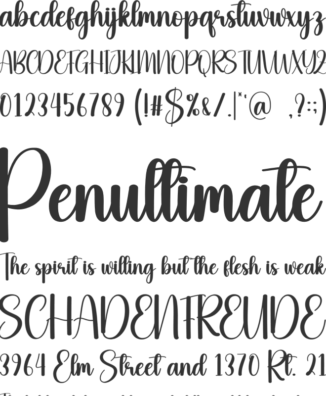 Briefly font preview