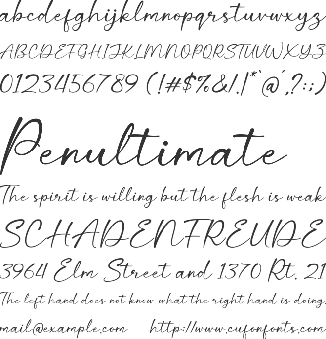 Wings Signature font preview