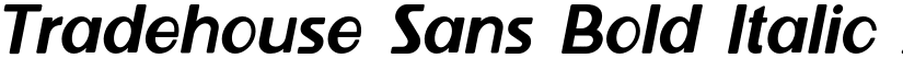 Tradehouse Sans Bold Italic font
