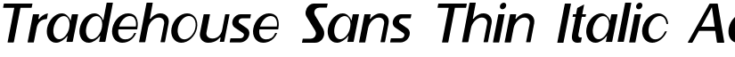 Tradehouse Sans Thin Italic font