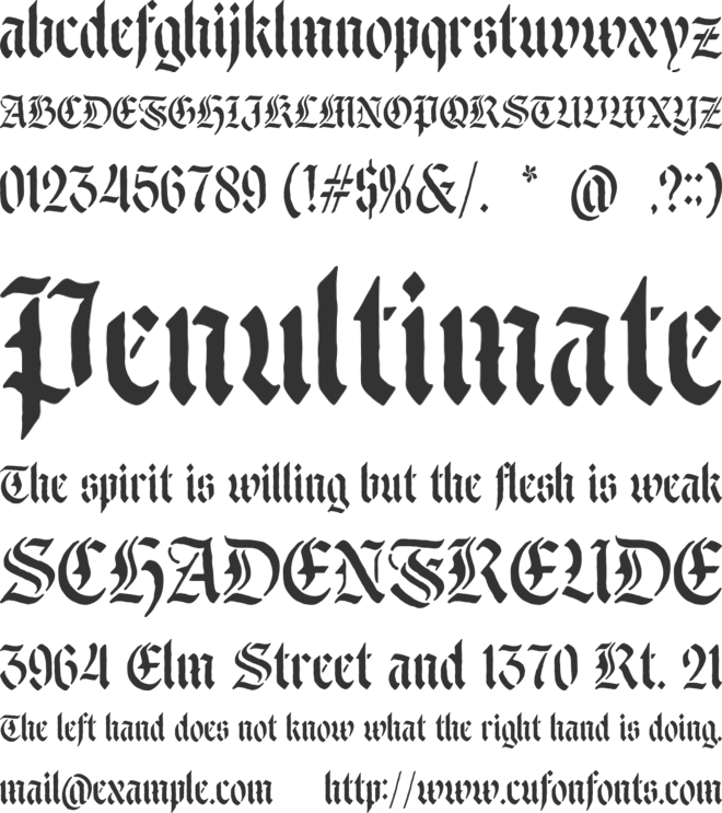 Ducky Black font preview