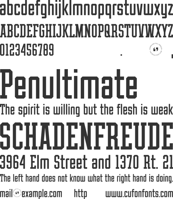 THE ATHLETIC FONT font preview