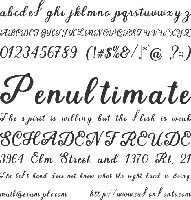 Solenne Nova font preview