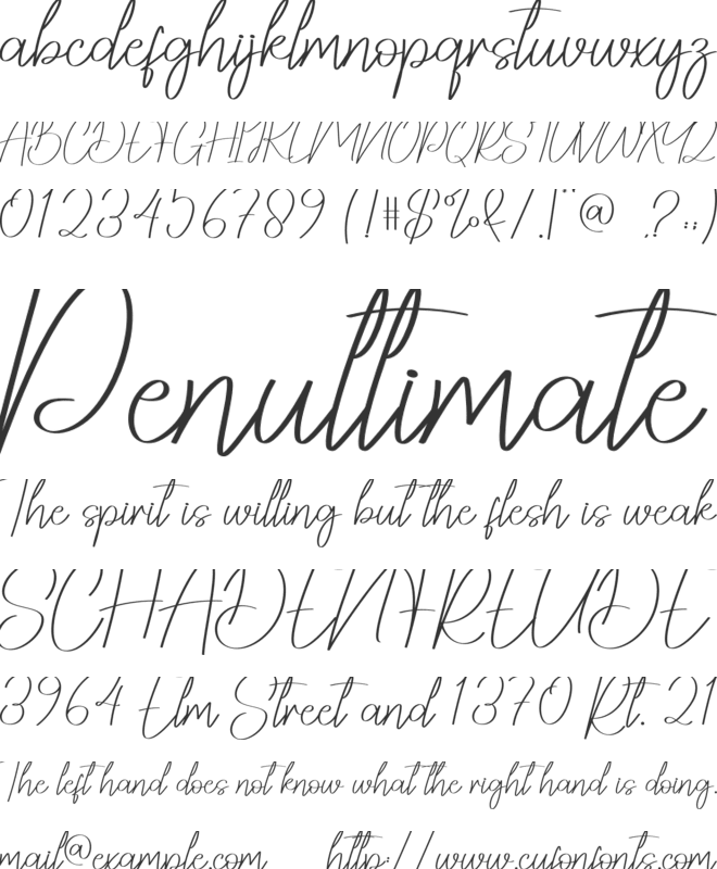 Question font preview