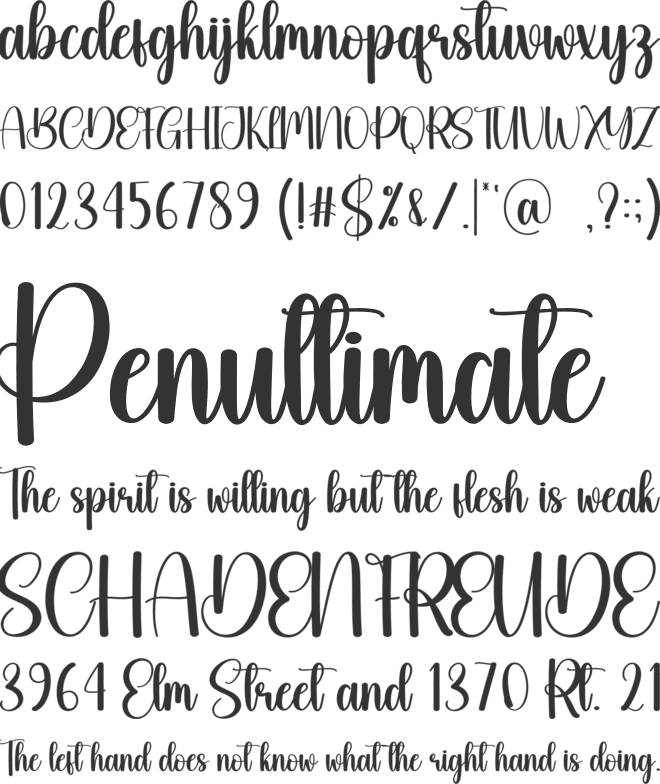 Bathroom font preview