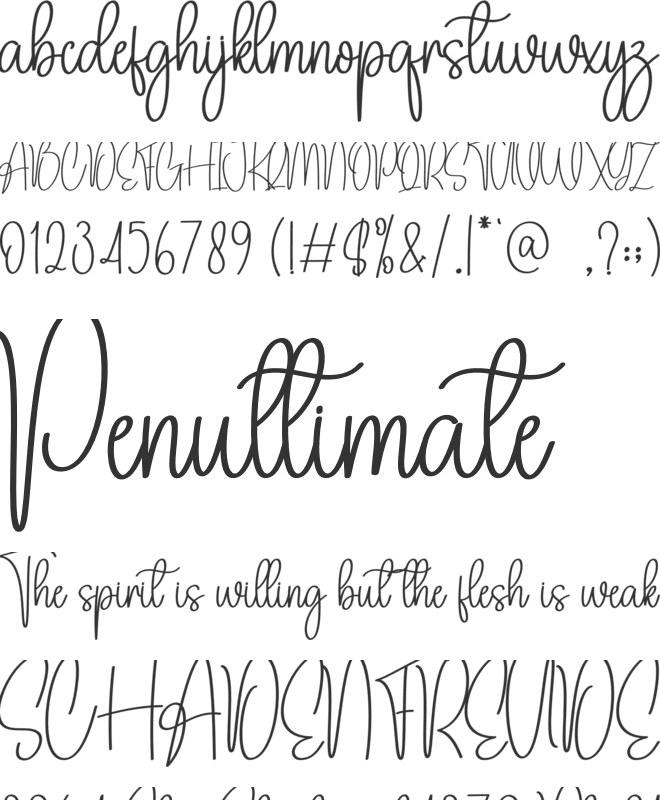 Camilla Calligraph font preview