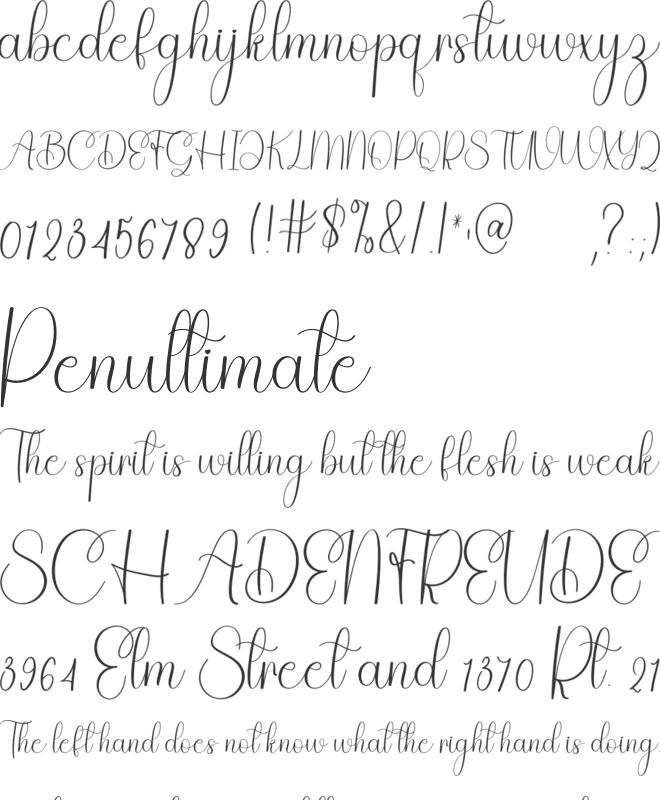 Calligraphy font preview