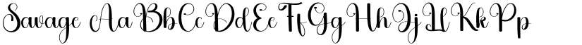 Savage font download
