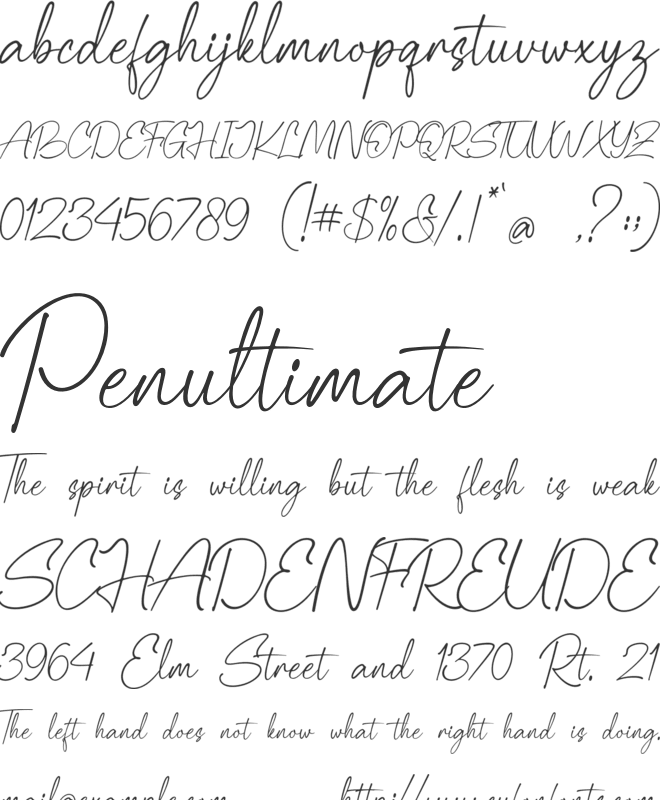 Palisade font preview