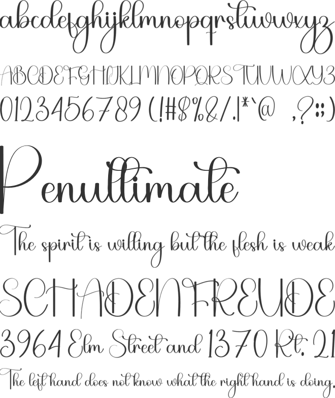 Black Bird font preview