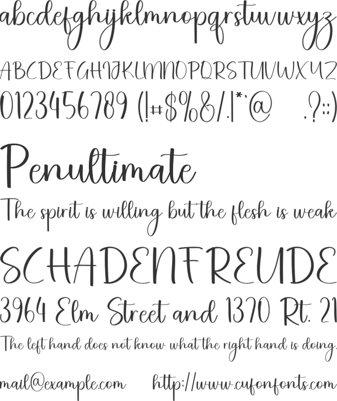 Wedding Accesories font preview