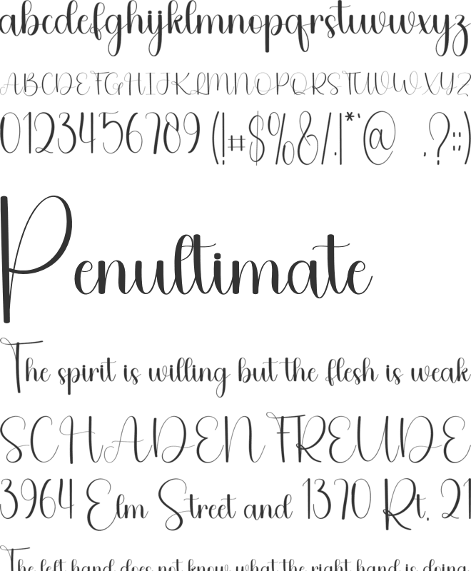 Typography font preview