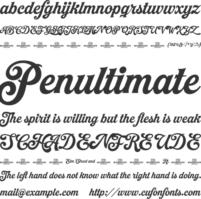 Boost Player PERSONAL USE ONLY font preview