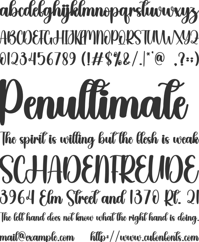 Plenty font preview