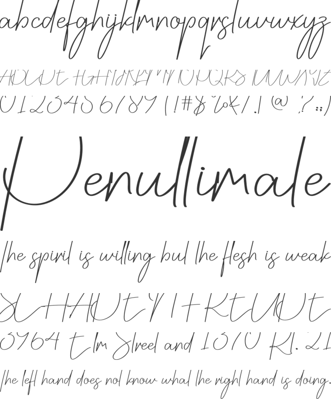 Darknight font preview