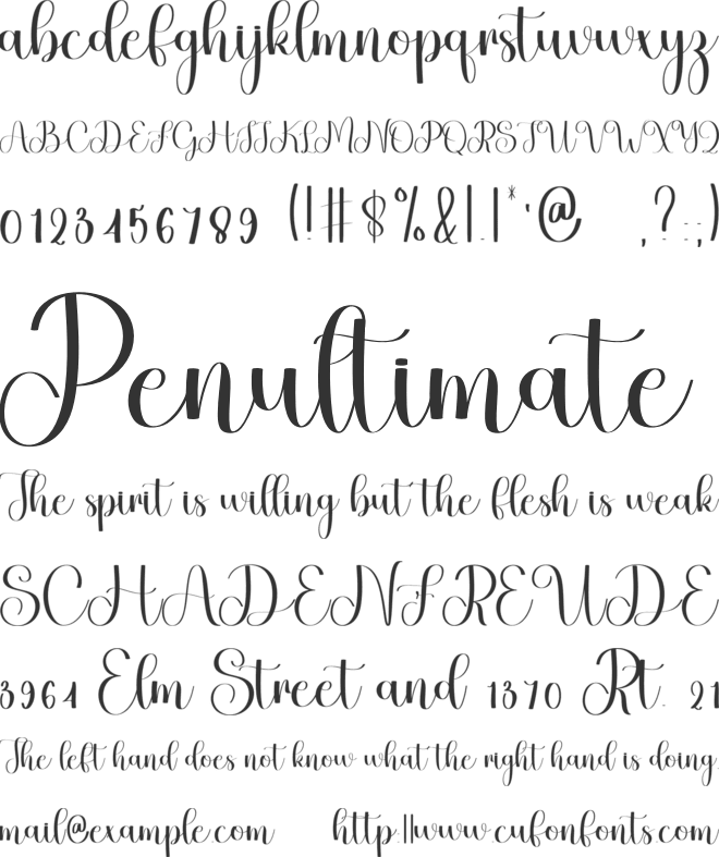 The Wedding font preview