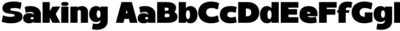 Saking font