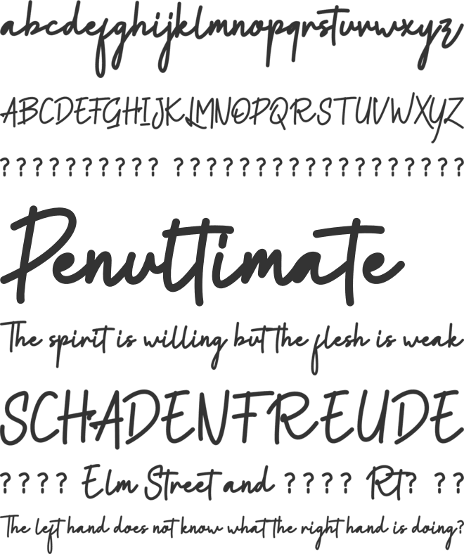 Renubela Signature font preview